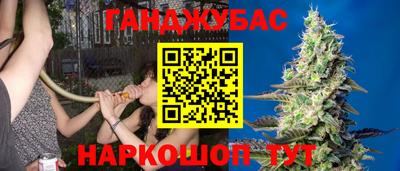 стафф Заводоуковск