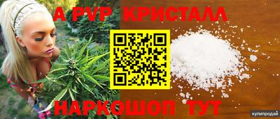 стафф Заводоуковск